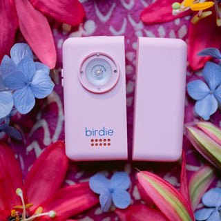 Birdie Box: Rose Gold