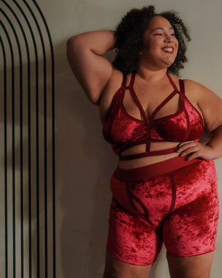 Holiday Limited Edition: Velvet